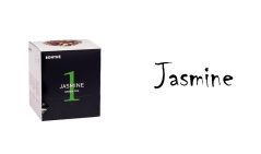 jasmine-krabica